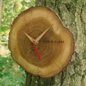 TFA Wanduhr aus Eichenholz
