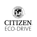 CITIZEN Damenuhr Klassik Eco-Drive Solaruhr Stahl schwarz
