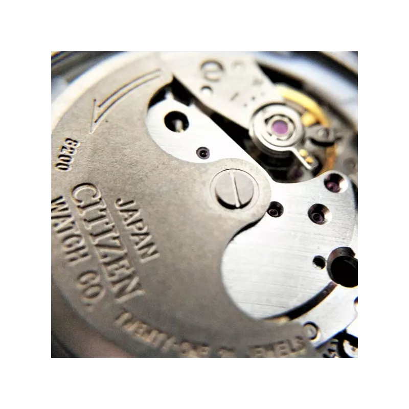 CITIZEN Promaster Diver Automatik Fugu Taucheruhr Edelstahl schwarz