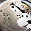 CITIZEN Promaster Diver Automatik Fugu Taucheruhr blau