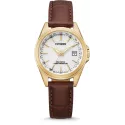 CITIZEN Damen-Funkuhr Eco-Drive Solar Edelstahl vergoldet