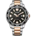 CITIZEN Sport Eco-Drive Solaruhr bicolor