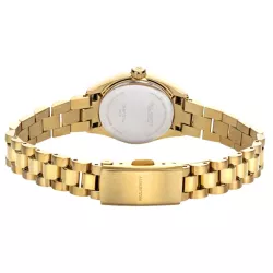 PAUL HEWITT Damenuhr Petit Soleil round 25 Solar Recy-Stahl gold schwarz