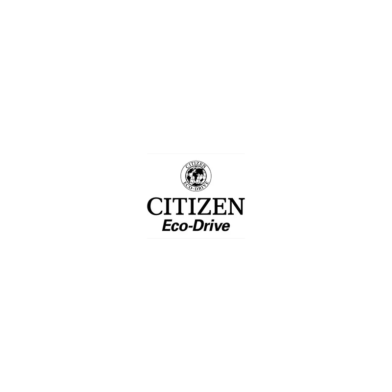 CITIZEN Promaster Sky Solar Digianalog Stahl schwarz