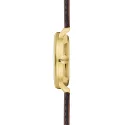 STERNGLAS Naos 38 Solaruhr grün vergoldet Bridle schwarz